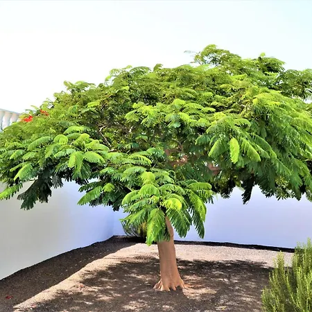 Grand Famara Пуэрто дель Кармен