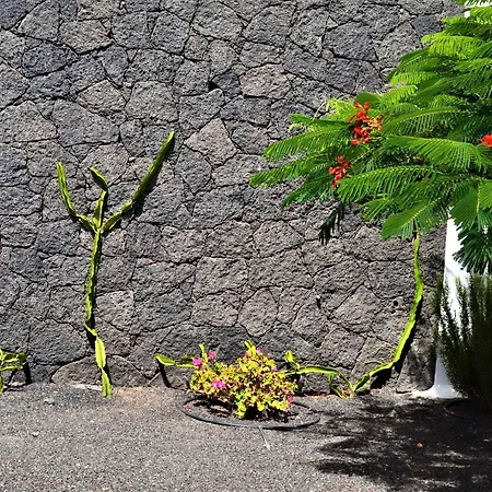 Вилла Grand Famara Пуэрто дель Кармен