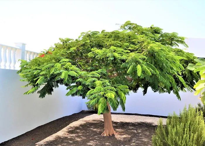 Grand Famara 卡门港